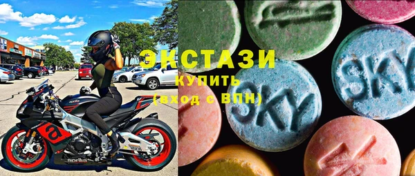хмурый Аркадак