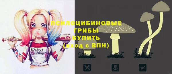 экстази Няндома