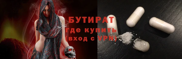 индика Каменногорск
