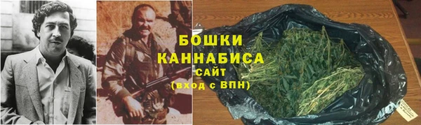 индика Каменногорск